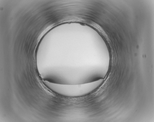 X0000070381242200607072146