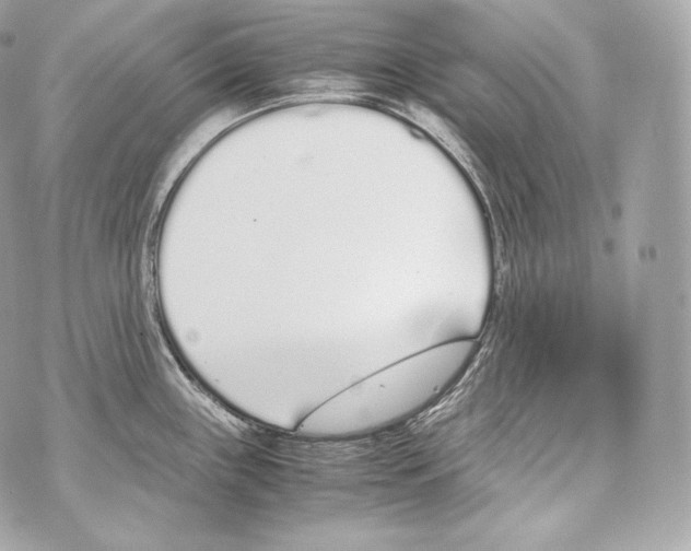 X0000070381243200607072146