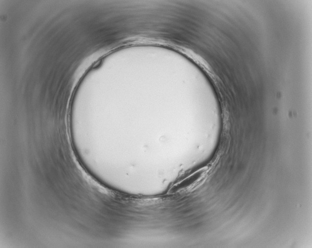 X0000070381247200607072146