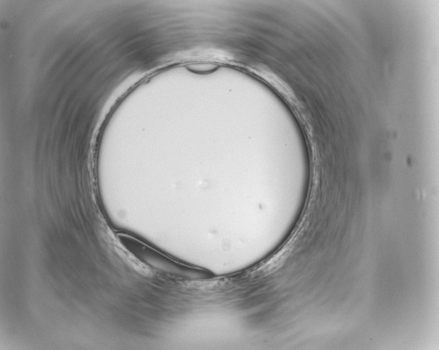 X0000070381248200607072146