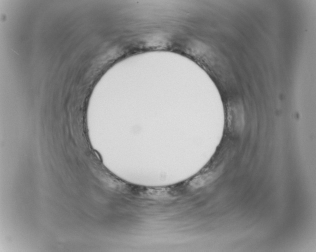 X0000070381249200607072145