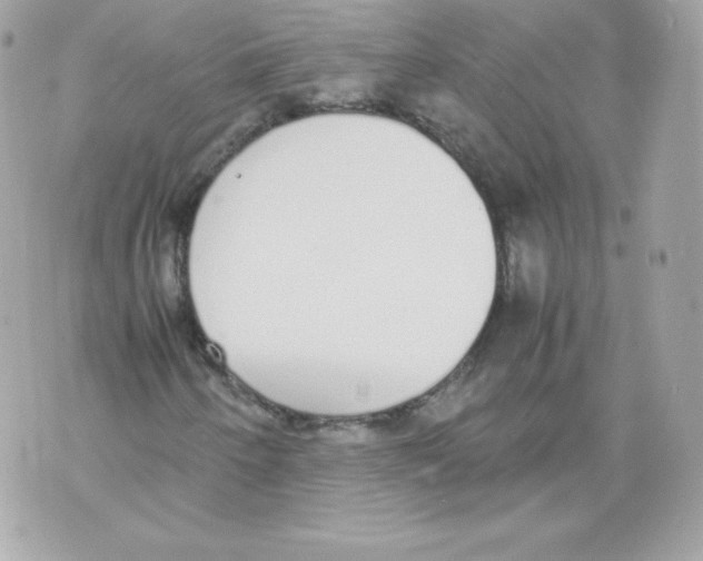 X0000070381250200607072145