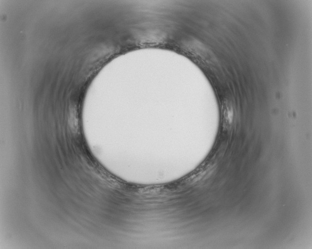 X0000070381252200607072145