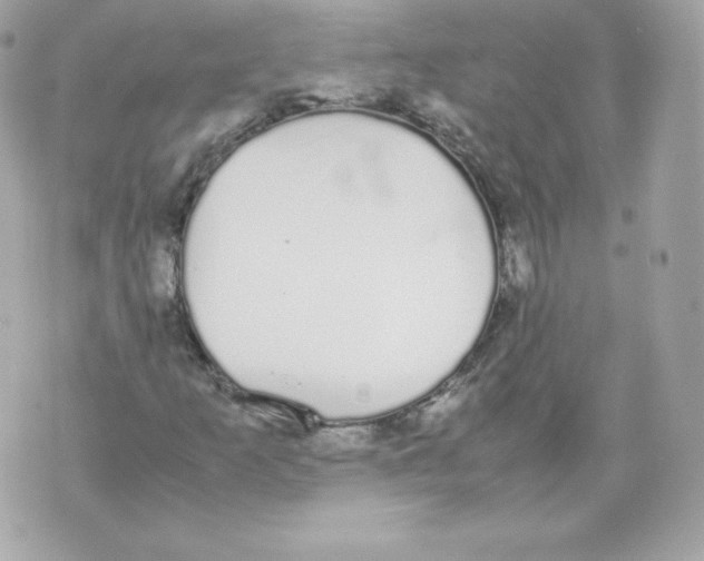 X0000070381253200607072145