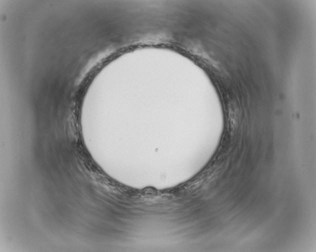 X0000070381256200607072145