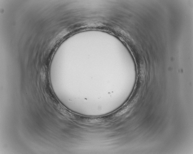 X0000070381257200607072145