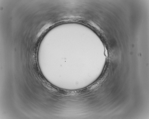 X0000070381259200607072145