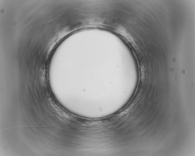 X0000070381260200607072145