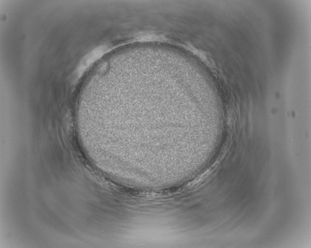 X0000070381263200607072145