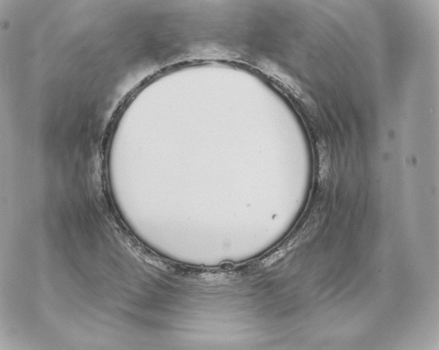 X0000070381264200607072145