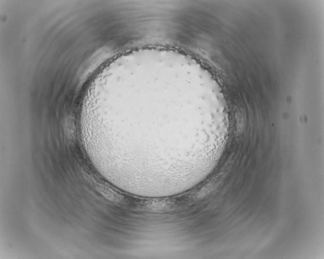 X0000070381266200607072145