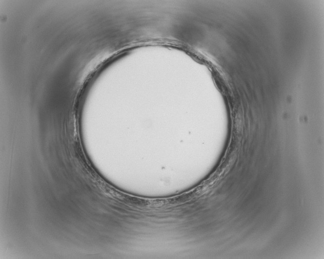 X0000070381267200607072145