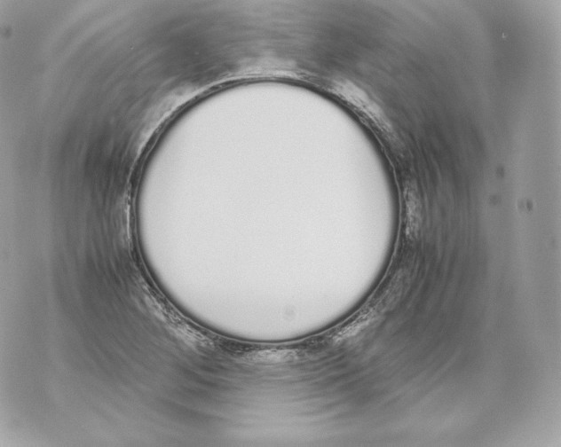 X0000070381268200607072145