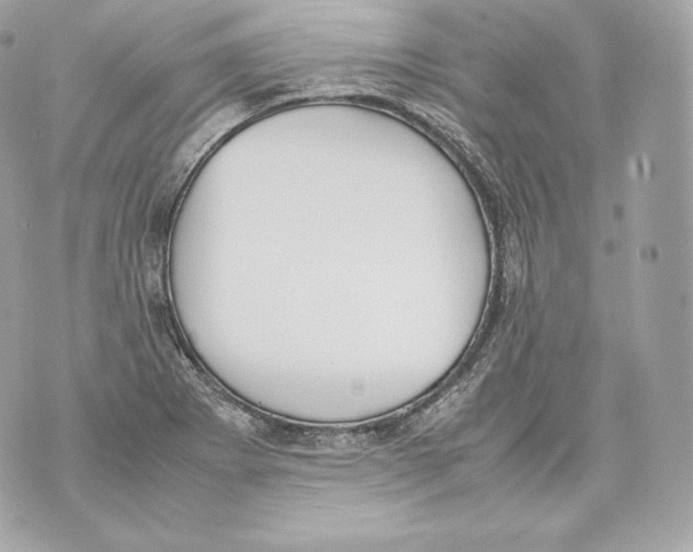 X0000070381273200607072145