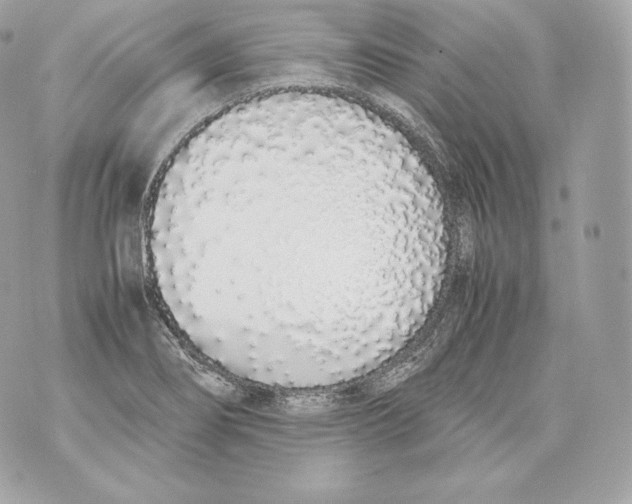 X0000070381274200607072145