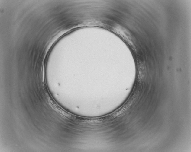 X0000070381276200607072145