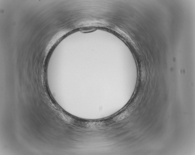 X0000070381277200607072145