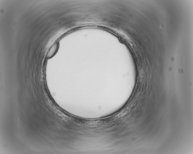 X0000070381279200607072145