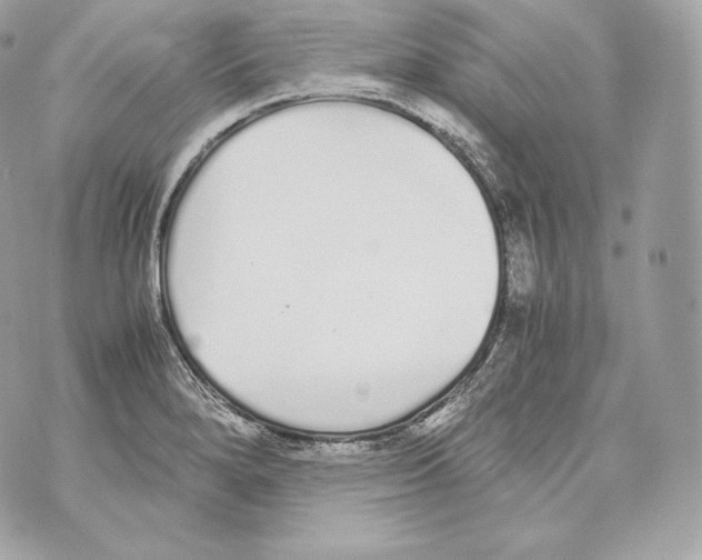 X0000070381280200607072145