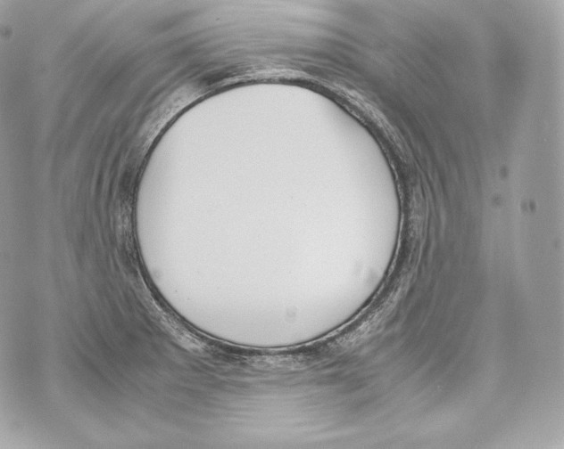 X0000070381281200607072145