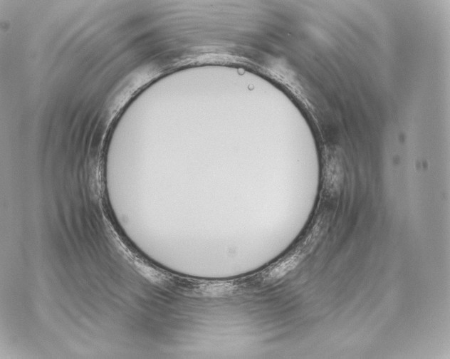 X0000070381282200607072145