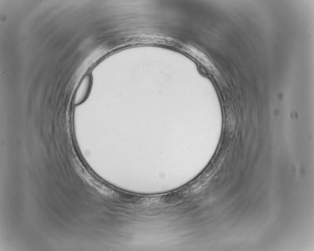 X0000070381283200607072145