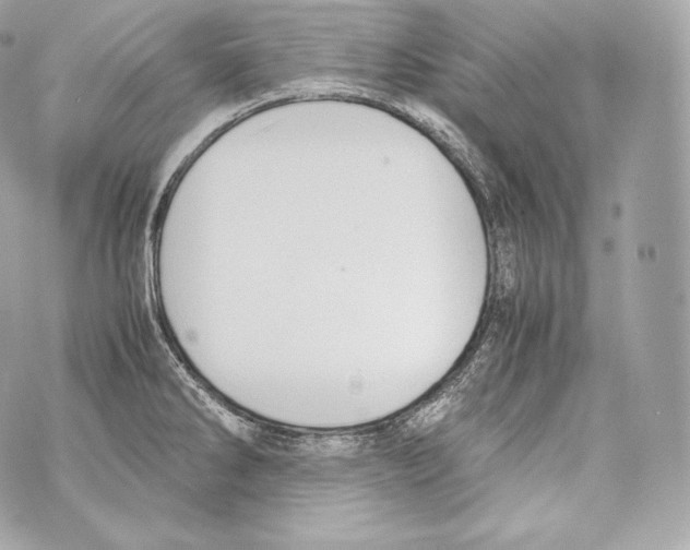 X0000070381286200607072145