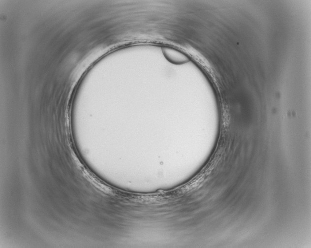 X0000070381287200607072145