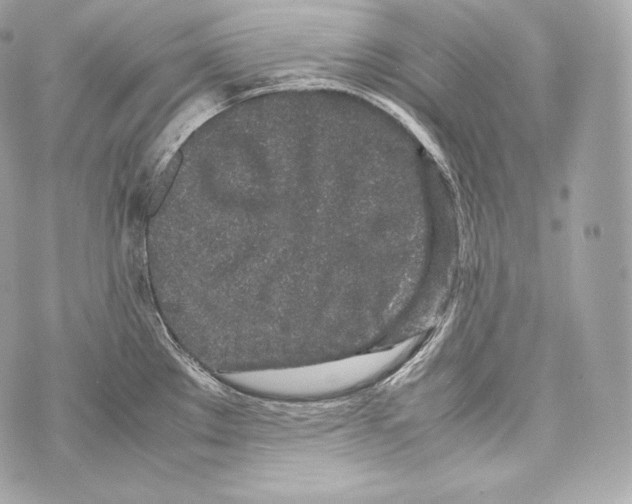 X0000070381289200607072144