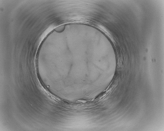 X0000070381291200607072144