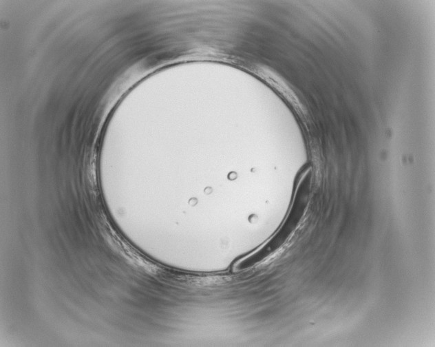 X0000070381292200607072144