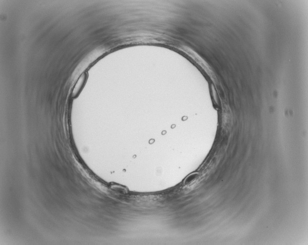 X0000070381293200607072144