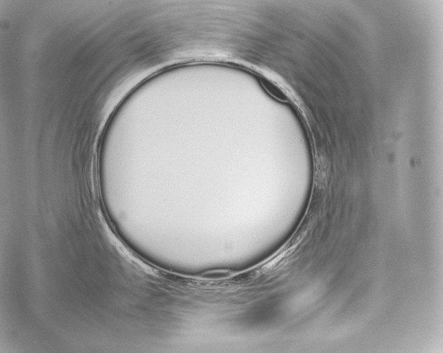 X0000070381295200607072144