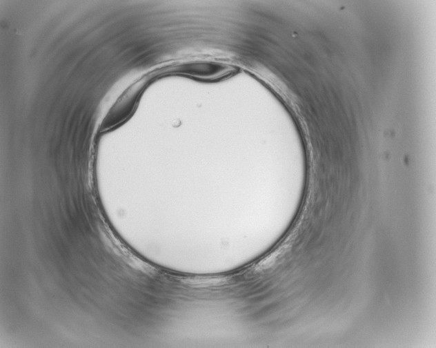 X0000070381296200607072144