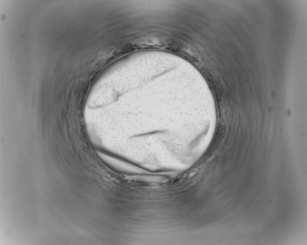 X0000070381297200607072144