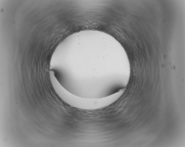 X0000070381298200607072144