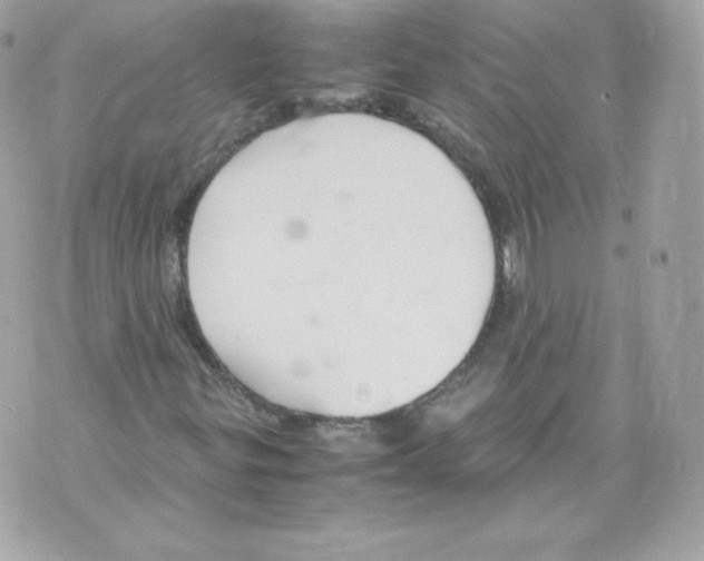 X0000070381299200607072144