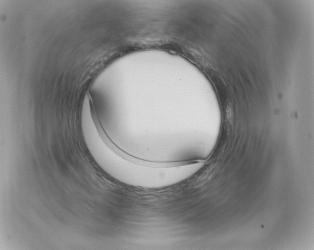 X0000070381300200607072144