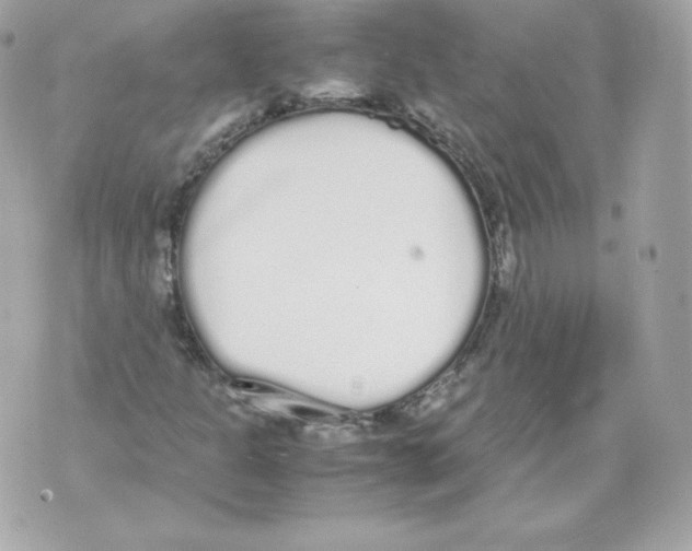 X0000070381301200607072144