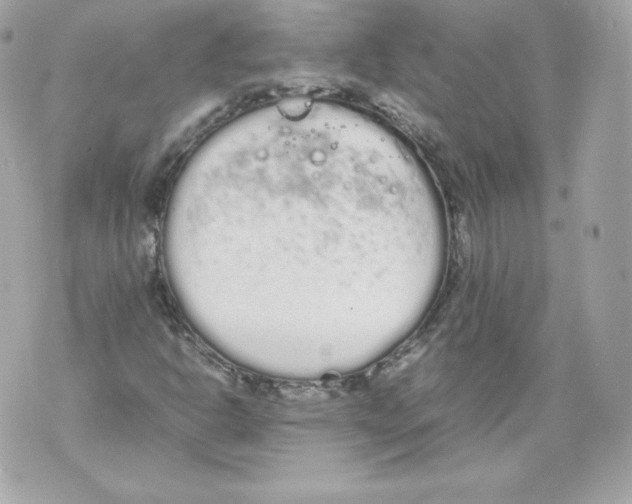 X0000070381302200607072144