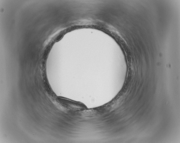 X0000070381304200607072144