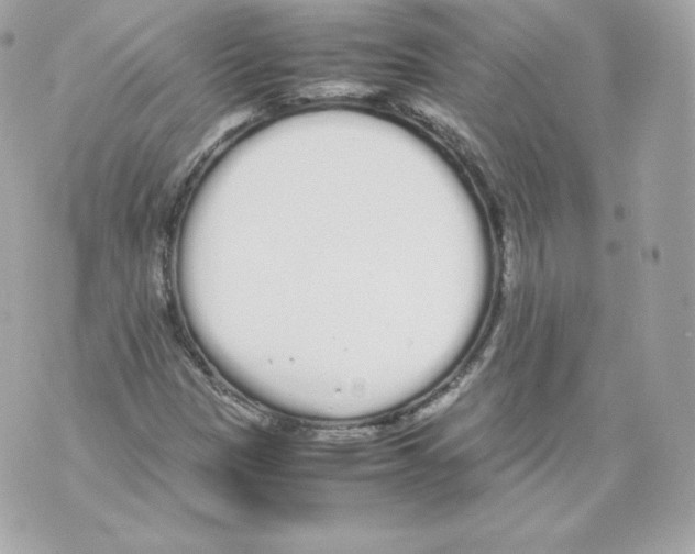 X0000070381305200607072144