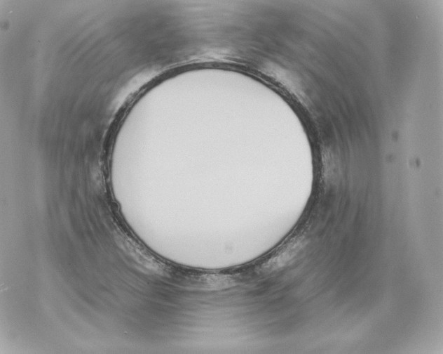 X0000070381308200607072144