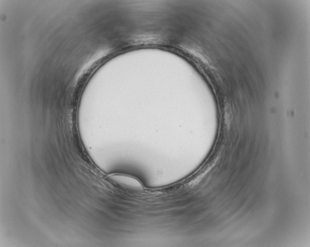 X0000070381309200607072144