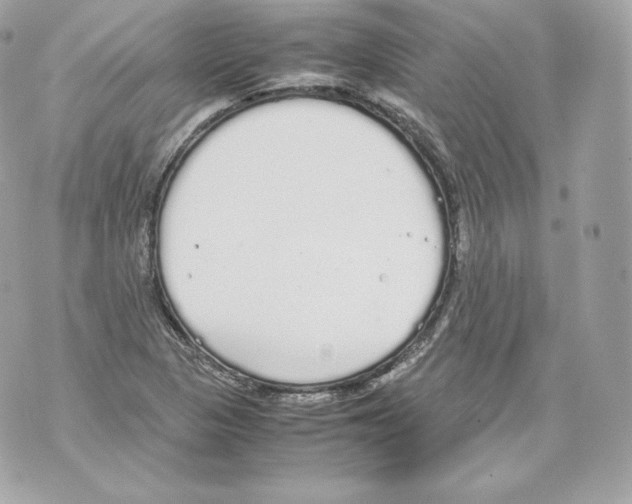 X0000070381313200607072144