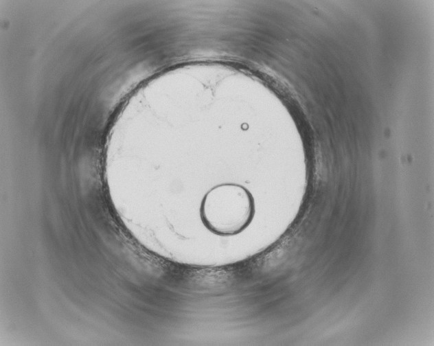 X0000070381314200607072144