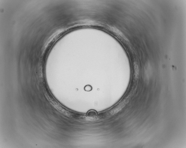 X0000070381318200607072144