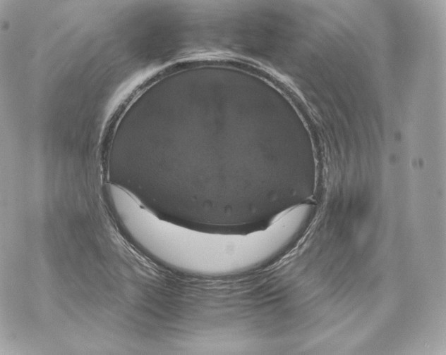 X0000070381319200607072144