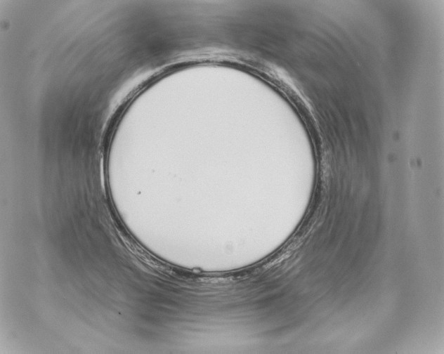 X0000070381320200607072144