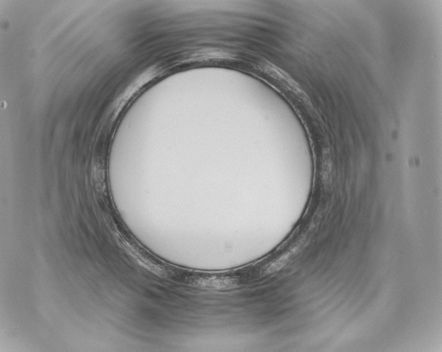 X0000070381321200607072144